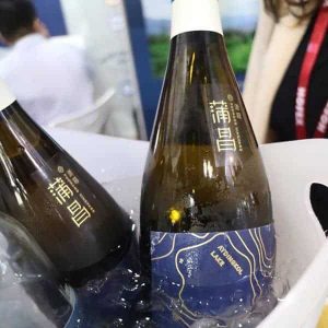 [HOFEX 2017]新彊的蒲昌酒莊Puchang Vineyard